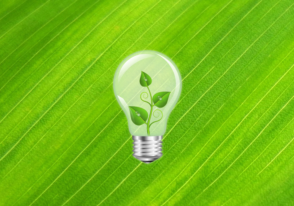 green background with a lightbulb in the center. Inside the lightbulb is a plant to represent green energy