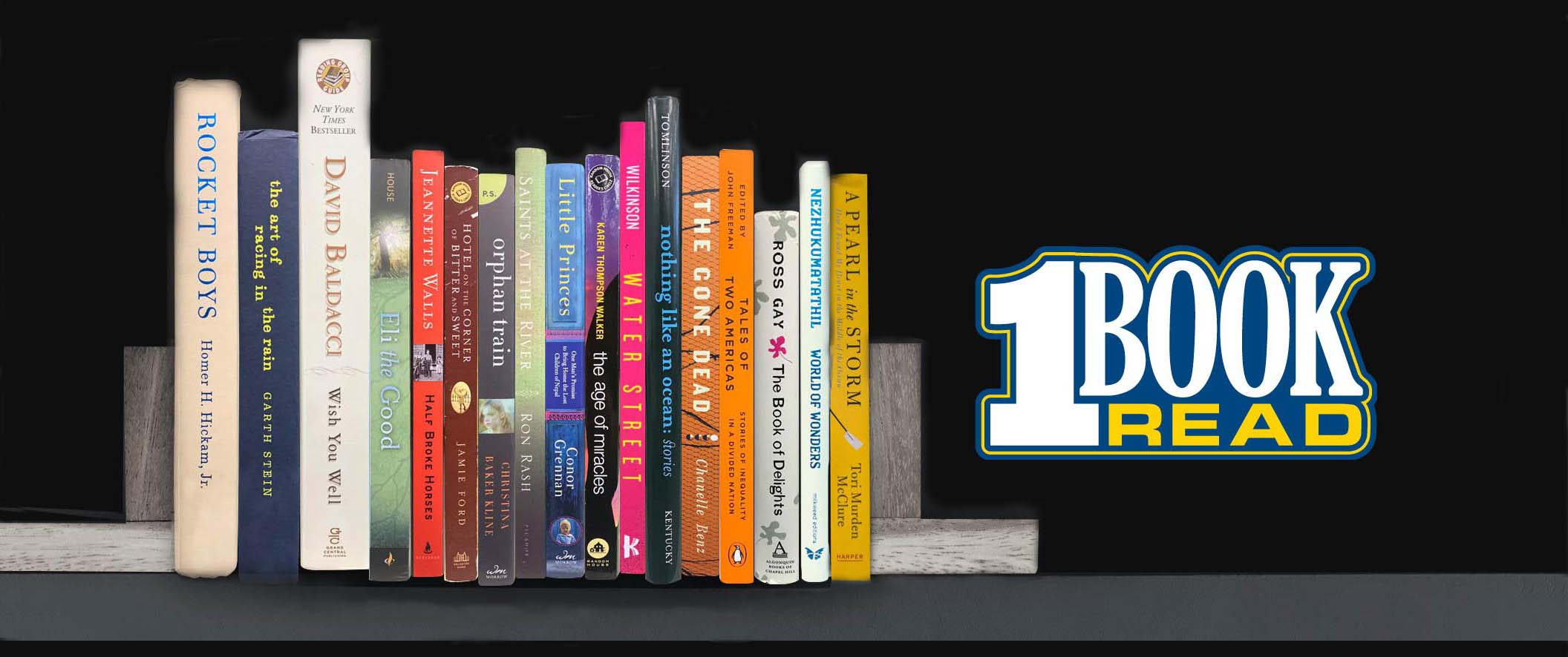 All of the One Book Read books lined up
