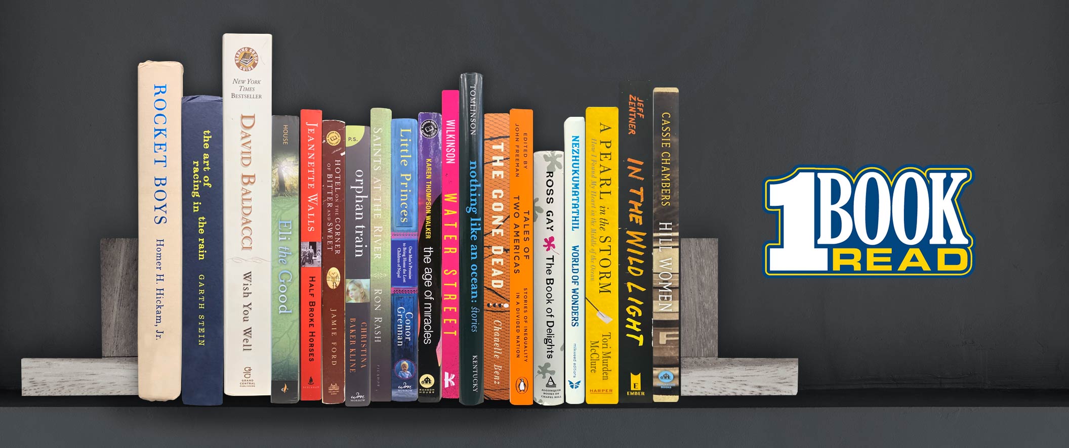 All of the One Book Read books lined up