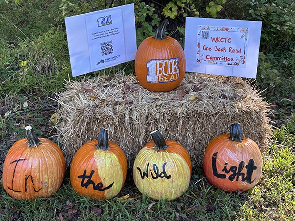 Several painted pumpkins