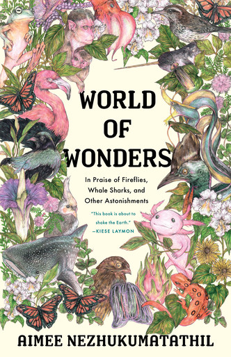 World of Wonder book cover